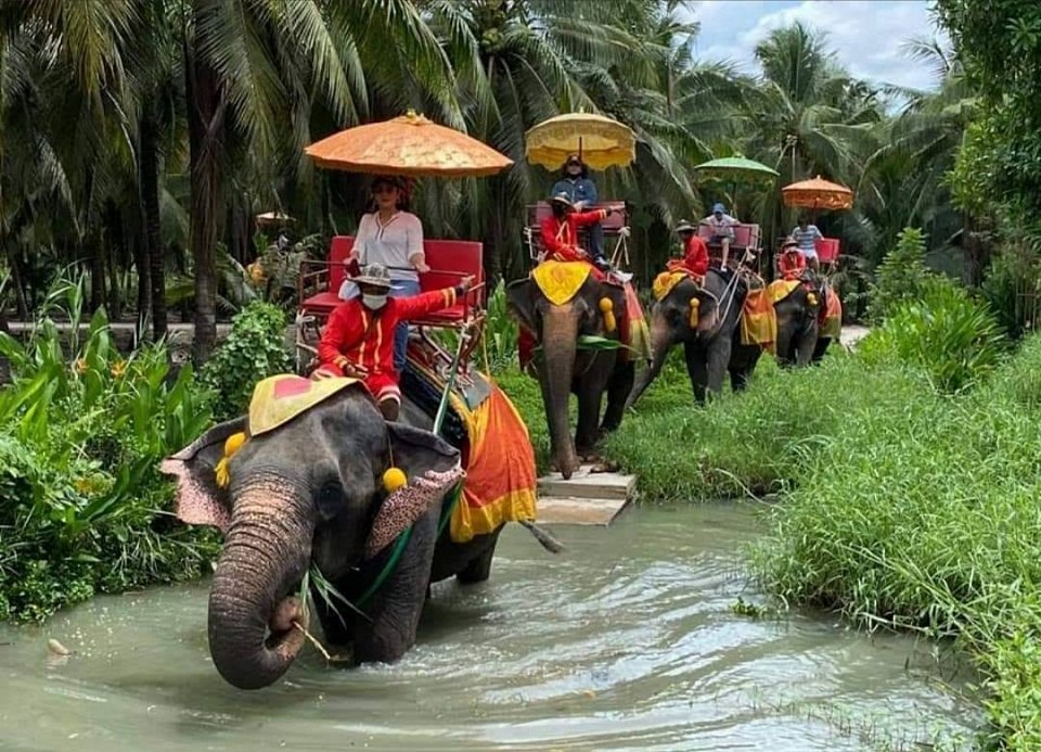 Elephant riding